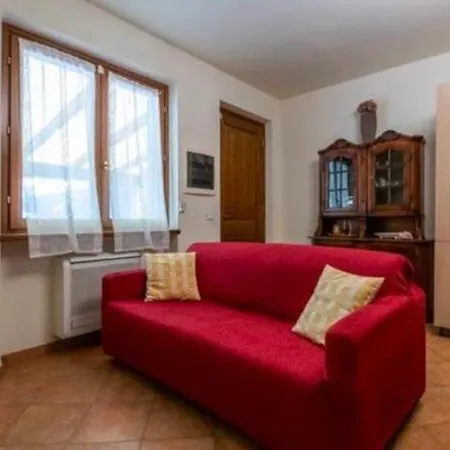 Sun House And Pool Viareggio * Le Focette